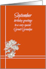 Happy September Birthday Great Grandpa White Aster Flowers card