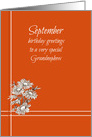 Happy September Birthday Grandnephew White Aster Flowers card