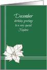 Happy December Birthday Nephew Poinsettia Flower Drawing card
