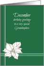 Happy December Birthday Grandnephew Poinsettia Flower card