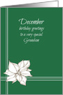 Happy December Birthday Grandson White Poinsettia Flower card