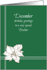 Happy December Birthday Brother White Poinsettia Flower card