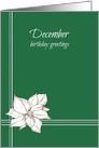 December Birthday White Poinsettia Flower card