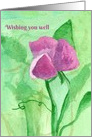 Wishing You Well Purple Sweet Pea Flower card