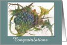 Congratulations Wine Grapes Watercolor Fine Art Painting card