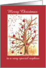 Merry Christmas Nephew Winter Tree Drawing Red Ornaments card