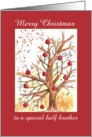 Merry Christmas Half Brother Winter Tree Drawing Red Ornaments card