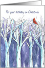 For your Birthday on Christmas Cardinal in Trees card