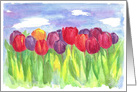 Tulip Flower Field Watercolor Painting Blank card