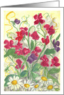 Sweet Pea Daisy Flower Garden Watercolor Blank card