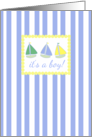 Baby Boy Birth Announcement Sailboats Toys card