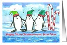 Merry Christmas Sweet Niece Singing Penguins card