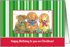 Happy Birthday on Christmas Holiday Dogs card