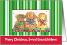 Merry Christmas Sweet Grandchildren Dogs card