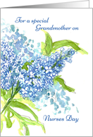 For A Special Grandmother on Nurses Day Lilacs card
