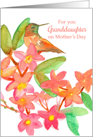 For You Granddaughter On Mother’s Day Hummingbird card