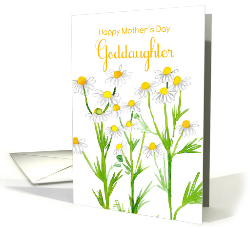 Happy Mother's Day Goddaughter Chamomile Flowers card (1034605)