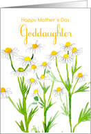 Happy Mother’s Day Goddaughter Chamomile Flowers card