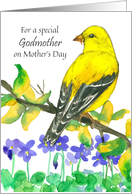 For A Special Godmother On Mother’s Day Goldfinch Bird card