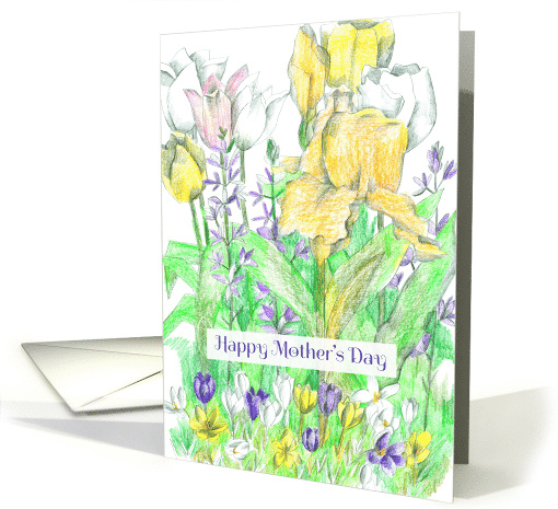Happy Mother's Day Iris Tulips Crocus Spring Flowers card (1034637)