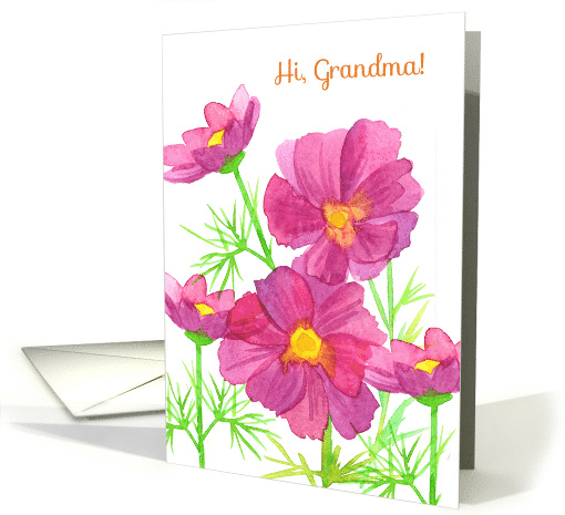 Hi Grandma Thinking Of You Pink Cosmos Flowers card (1052787)