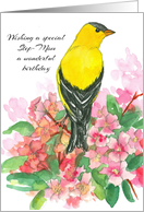 Step Mom Happy Birthday American Goldfinch Pink Rhododendron card