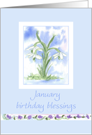 January Birthday Blessings White Snowdrops Flower card