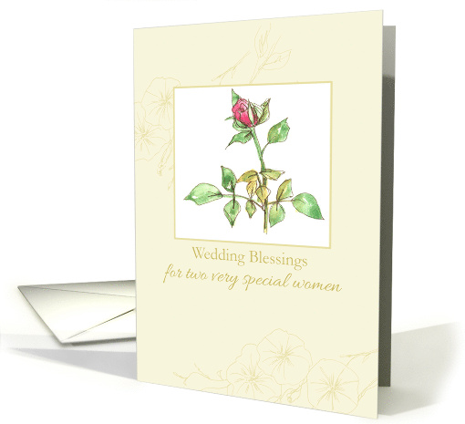 Lesbian Wedding Congratulations Pink Tea Rose Morning Glory card