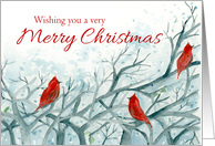 Merry Christmas Cardinal Birds Winter Trees card
