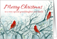 Merry Christmas Granddaughter and Family Cardinal Red Birds Winter card