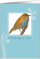 Thinking of You Bluebird Watercolor Plants card