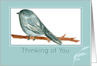 Thinking of You Chickadee Bird Watercolor card