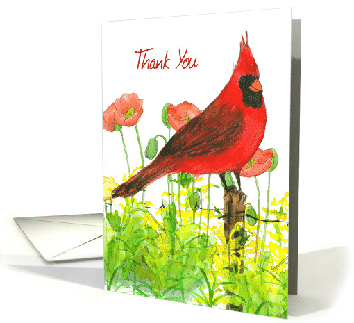 Thank You Cardinal Bird Poppies Watercolor card (1152694)