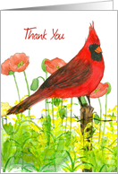 Thank You Cardinal Bird Poppies Watercolor card