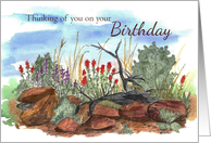 Happy Birthday Desert Wildflowers Indian Paintbrush card