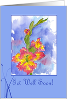 Get Well Soon Pink Gladiolus Flowers Blue card