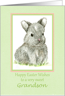 Happy Easter Grandson Grey Bunny Rabbit Drawing card