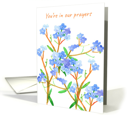 You're In Our Prayers Thinking of You Forget Me Not card (1209860)