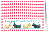 Happy Valentines Day Scottie Dogs Red Hearts card