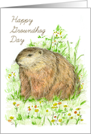 Happy Groundhog Day Woodchuck Animal Art card