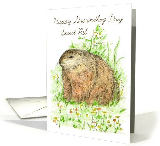 Happy Groundhog Day Secret Pal Woodchuck card (1225192)
