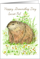 Happy Groundhog Day Secret Pal Woodchuck card