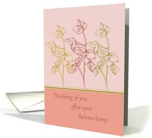 Thinking of you after splenectomy get well soon card (1240728)