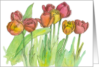 Happy Birthday Tulip Fine Art Watercolor Painting card