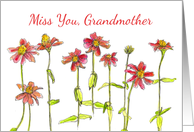 Miss You Grandmother Red Zinnia Flower Watercolor card