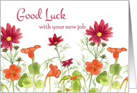Good Luck With Your New Job Orange Nasturtium Flowers card