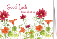 Good Luck From All Of Us Orange Nasturtium Flowers card