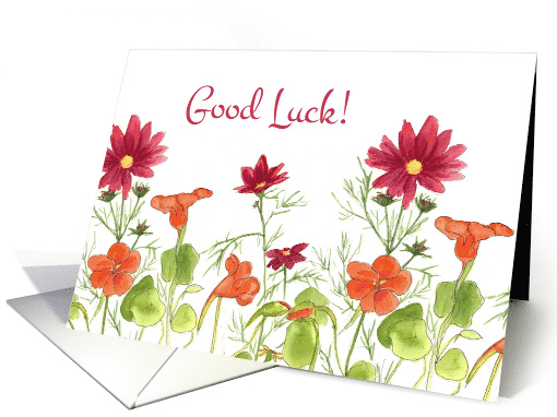 Good Luck Orange Nasturtium Flowers card (1267840)