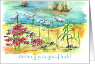 Good Luck Wishes Seagulls Watercolor Landscape card