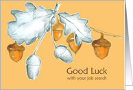 Good Luck With Your Job Search Acorns Oak Tree Branch card